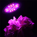E27 15W LED Hydroponic Plant Grow Full Spectrum Indoor Light Bulb