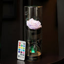 Para Ella Preserved Fresh Rose Flower with Fallen Petals in Glass Dome on a Wooden Base Decorations