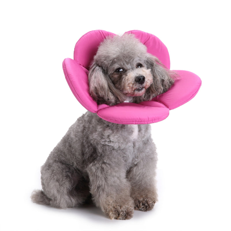 Pet Collars Protective Hood Anti-Bite Anti-Scratch Neck Protection Pet Dog Collar