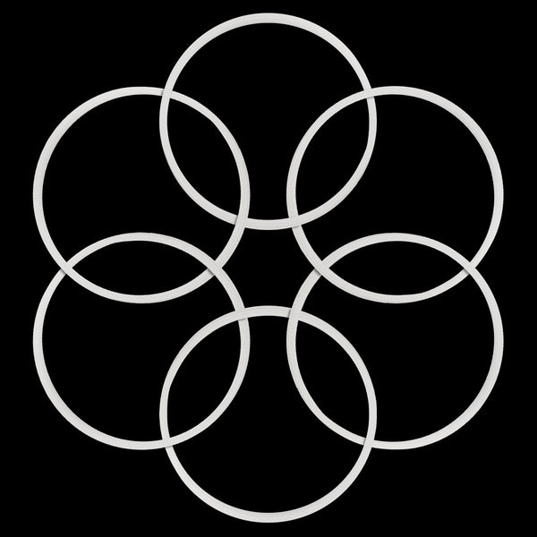 White Seal Rubber O-Ring Gaskets Replacement For Magic Bullet Blender