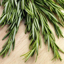 Egrow 100Pcs/Pack Rosemary Seeds Garden Terrace Indoor Potted Bonsai Vanilla Plants Seeds