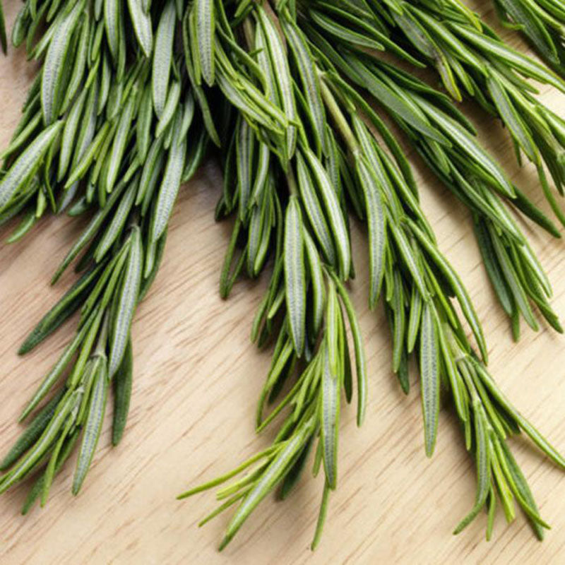 Egrow 100Pcs/Pack Rosemary Seeds Garden Terrace Indoor Potted Bonsai Vanilla Plants Seeds