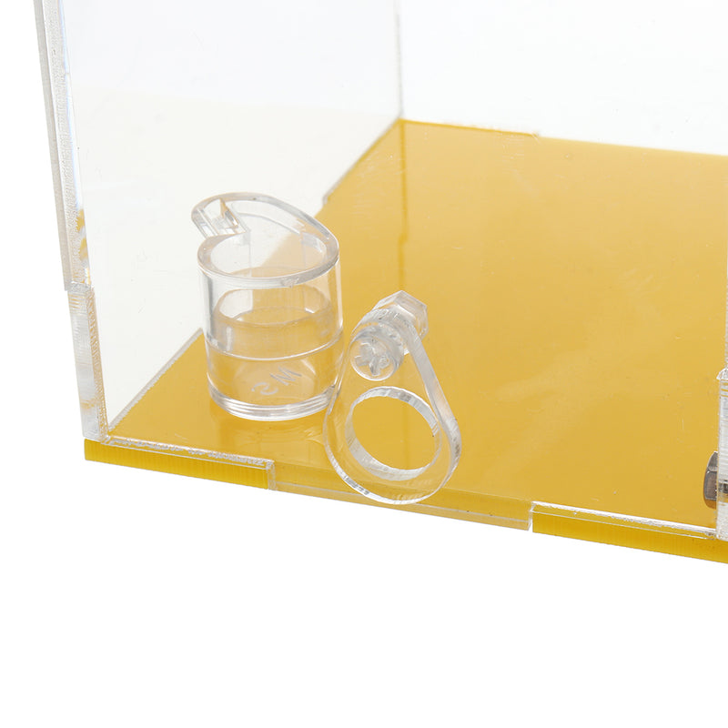 Acrylic Ant Insect Feeding Nest Moisturizing Farm Case W/ Dropper Tweezer