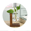 Tabletop Desk Decor Bulb Glass Hydroponic Vase Flower Plant Pot  Wooden Tray Hydroponic System