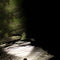 SPECODE R7 550 Lumens Flashlight 18650 Battery USB Charging 6 Modes Work Lamp Camping Hunting Emergency Lantern