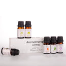 6Pcs Pure & Natural Essential Oil Humidifier Aromatherapy Fragrance 10ml Set