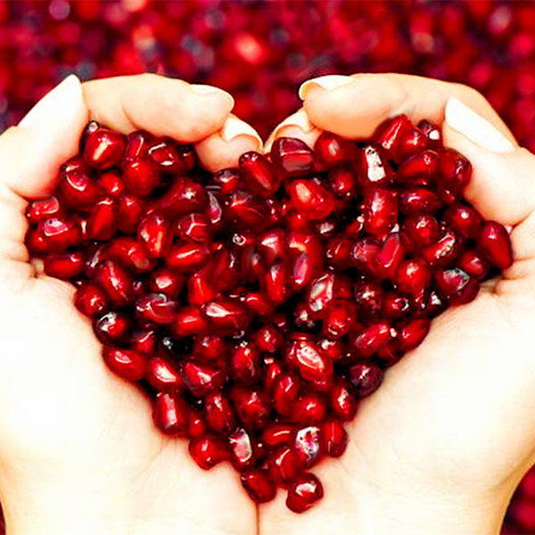 Egrow 30Pcs/Pack Pomegranate Seeds Sweet Delicious Indoor Fruit Seeds Pomegranate Mini Bonsai Tree