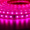 1/2/3/5M SMD5050 LED RGB Flexible Rope Outdoor Waterproof Strip Light + Plug + Remote Control AC110V