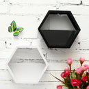 Hexagon Hanging Wall Basket Plant Flower Pot Box for Home Balcony GardenDecorations