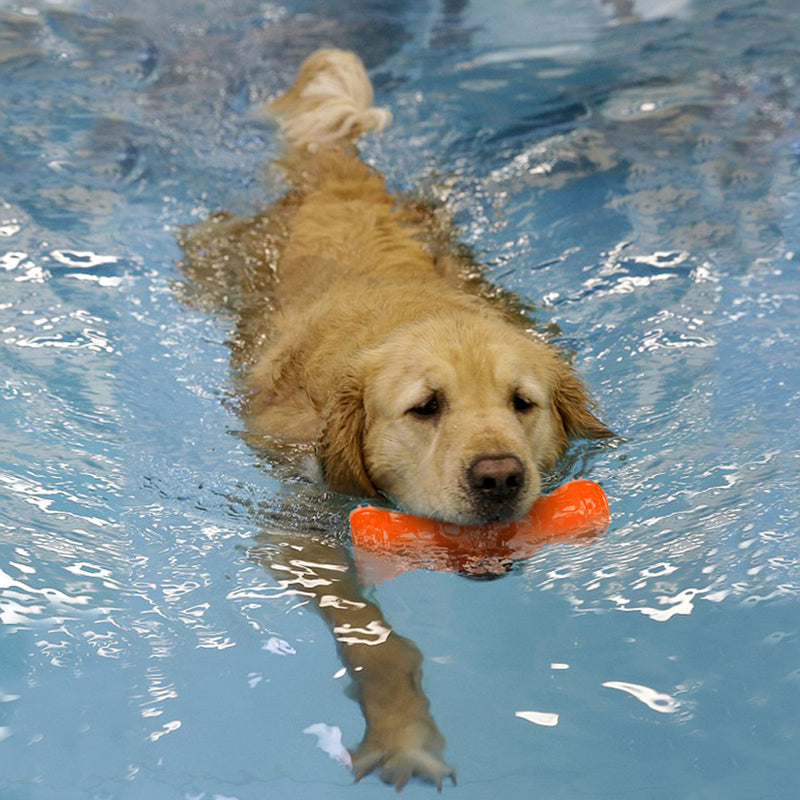 Rubber Dog Toys Bone Waterproof Squeak Sound Pet Toys Bite Resistant For Training Tooth Clean Interactive Pet Dog Chew Toy From Xiaomi Youpin