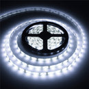 5M 300 SMD 3014 White/Warm White Waterproof LED Strip Light DC 12V