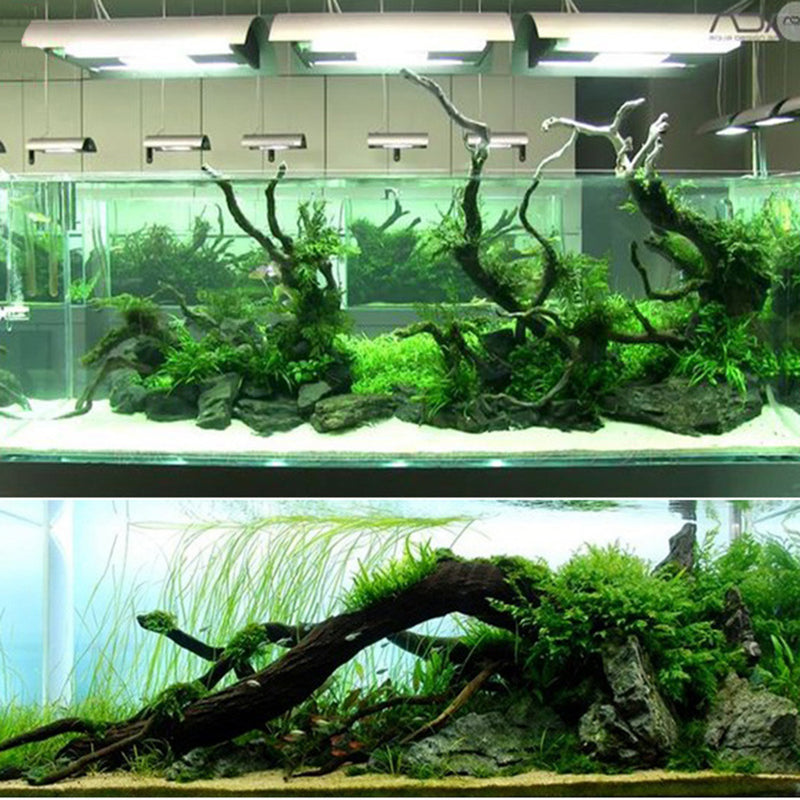 Transparent Landscaping Instant Strong Glue Aquatic Plants Block & Stone Coral Rock Adhesive Glue for Aquarium Water Plant Glue Fish Tank