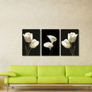 Miico Hand Painted Three Combination Decorative Paintings Botanic White Flower Wall Art For Home Decoration