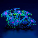 Fluorescent Silicone Aquarium Coral Plant Water Aquatic Fish Tank Ornament Decor Decorations