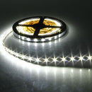 3X 5M 300 SMD3528 White Flexible White LED Strip Non-Waterproof DC 12V