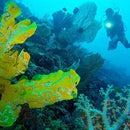 BORUiT M51 L2 1200LM Diving LED Flashlight Underwater 80m 18650/26650