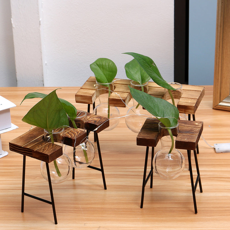 Ball Shape Glass Vase Plant Hydroponic Container Flower Bottle Table Desk Decor with Wooden Shelf Stand