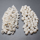 2 packs Dental Temporary Crown Material for Anterior + Molar Teeth Veneers