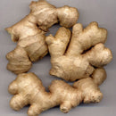 Egrow 100Pcs Ginger Seeds Balcony Vegetables Potted Bonsai Plant Seeds Four Seasons Plants