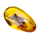 Beautiful Amber Hornet Petrifaction Insects Manual Polishing Insect Specimens Home Decorations