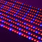 10PCS 50CM SMD5730 Red:Blue 3:1 LED Plant Grow Rigid Strip Hydroponic Light Kit DC12V