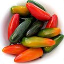 Egrow 100Pcs/Pack Pepper Seeds Special Multicolor Vegetables Fruit USA Bull Horn Pepper Spicy Moderate Bonsai For Home Garden