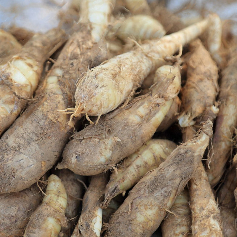 Egrow 100pcs/Bag Taro Seeds Rare Green Giant Taro Seeds Ornamental Leaves Edible Root Vegetable Seed