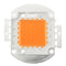 20W 30W 50W 30mil Full Spectrum LED Grow Chip DIY for Indoor Plant DC12-14V