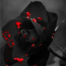 Egrow 100 Pcs Black Rose Seeds Dark Green Rose Garden Bonsai Perennial Plants Flower Seed