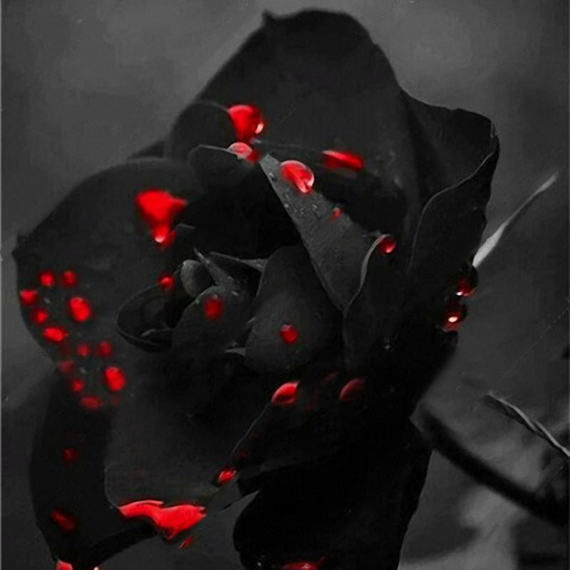 Egrow 100 Pcs Black Rose Seeds Dark Green Rose Garden Bonsai Perennial Plants Flower Seed