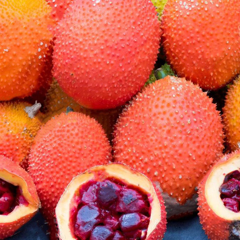 Egrow 10 Pcs/Pack Bitter Melon Seeds Fruit Bonsai Momordica Cochinchinensis Bonsai Spreng Cochinchin Gourd Non-GMO Fruit Plant