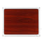 220V 100W Electric Foot Heat Mat Heating Carbon Crystal Foot Warmer Heater