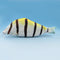 WAM PC-07 Fish Pencils Case Cute Simulation Cloth Plush Fish Pen Box Large Capacity School Stationer