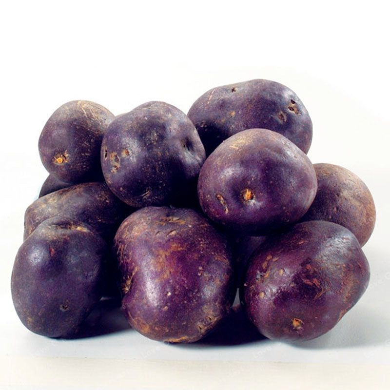 Egrow 100Pcs/Pack Purple Sweet Potato Seeds Nutrition Green Vegetable Bonsai Farm Plants