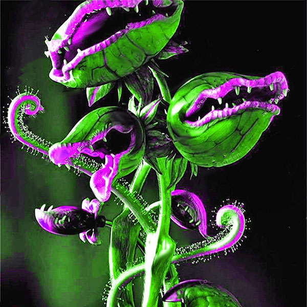 Egrow 100Pcs/Pack Flytrap Seeds Garden Potted Dionaea Muscipula Giant Carnivorous Plant Seeds