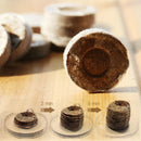 Honana HG-GT10 10Pcs Seedling Soil Block Peat Pellets Seed Starting Plugs Garden Tool Seeds Starter Pallet