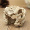 Dragon Resin Aquarium Decoration Crocodile Skull For Fish Tank Resin Ornament