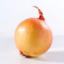 Egrow 300 Pcs/Pack Giant Onion Seeds Vegetable Seed Kitchen Food Seasoner Potted Plants