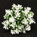 Plastic Artificial Aquarium Grass Home Fish Tank Plant Underwater Ornament Fish Tank Decorations