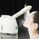 Ozone Facial Steamer Face Sprayer Vaporizer Beauty Salon Skin Care Instrument Machine