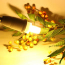 G9 7W SMD2835 Non-dimmable 64 LED Ceramic Corn Light Bulb for Outdoor Home Decoration AC110-240V