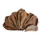 10Pcs Aquarium Natural Terminalia Leaves Reduce Ph Improve Water Quality Water Purifier