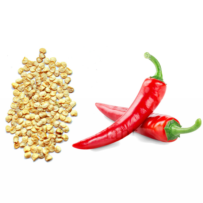 Egrow 100Pcs/Pack Red Pepper Seeds Garden Long Chili Vegetable Seeds Home Kitchen Seasoner