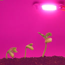 AC220V 20W 30W 50W LED Grow Light Chip DIY Full Spectrum for Hydroponics Greenhouse Plant Flowers