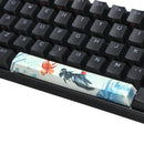 Five-sided Dyesub PBT Carp Space Bar 6.25u Novelty Keycap