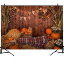 Fall Thanksgiving Backdrop Photography Video Background Pumpkins Studio Prop