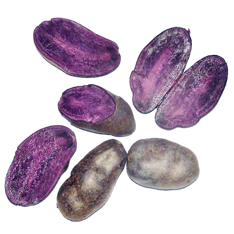 Egrow 100Pcs/Pack Purple Sweet Potato Seeds Nutrition Green Vegetable Bonsai Farm Plants