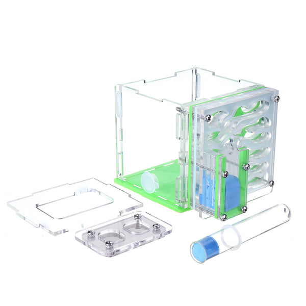 Acrylic Ant Nest Housing Farm Ants Nest with Feeding Area Display Living Box