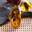 Beautiful Amber Hornet Petrifaction Insects Manual Polishing Insect Specimens Home Decorations
