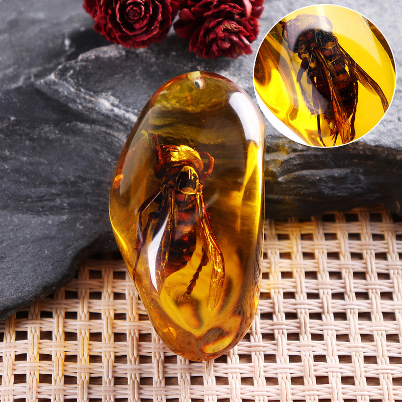 Beautiful Amber Hornet Petrifaction Insects Manual Polishing Insect Specimens Home Decorations